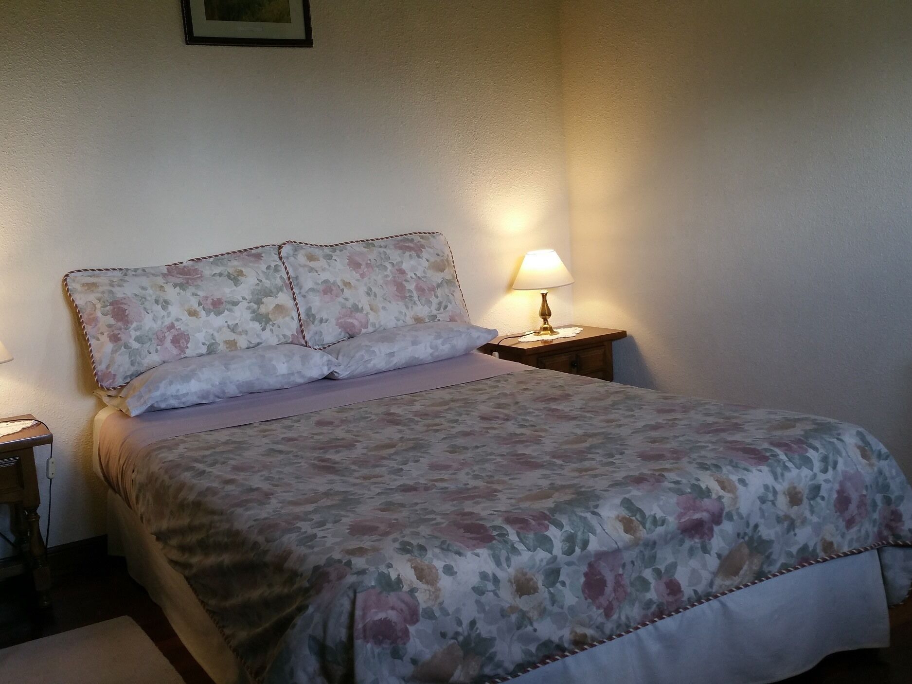 Photo - Mies de Villa