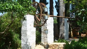 Una ruota idraulica tradizionale con secchi, sullo sfondo di un lussureggiante verde e alberi alti.