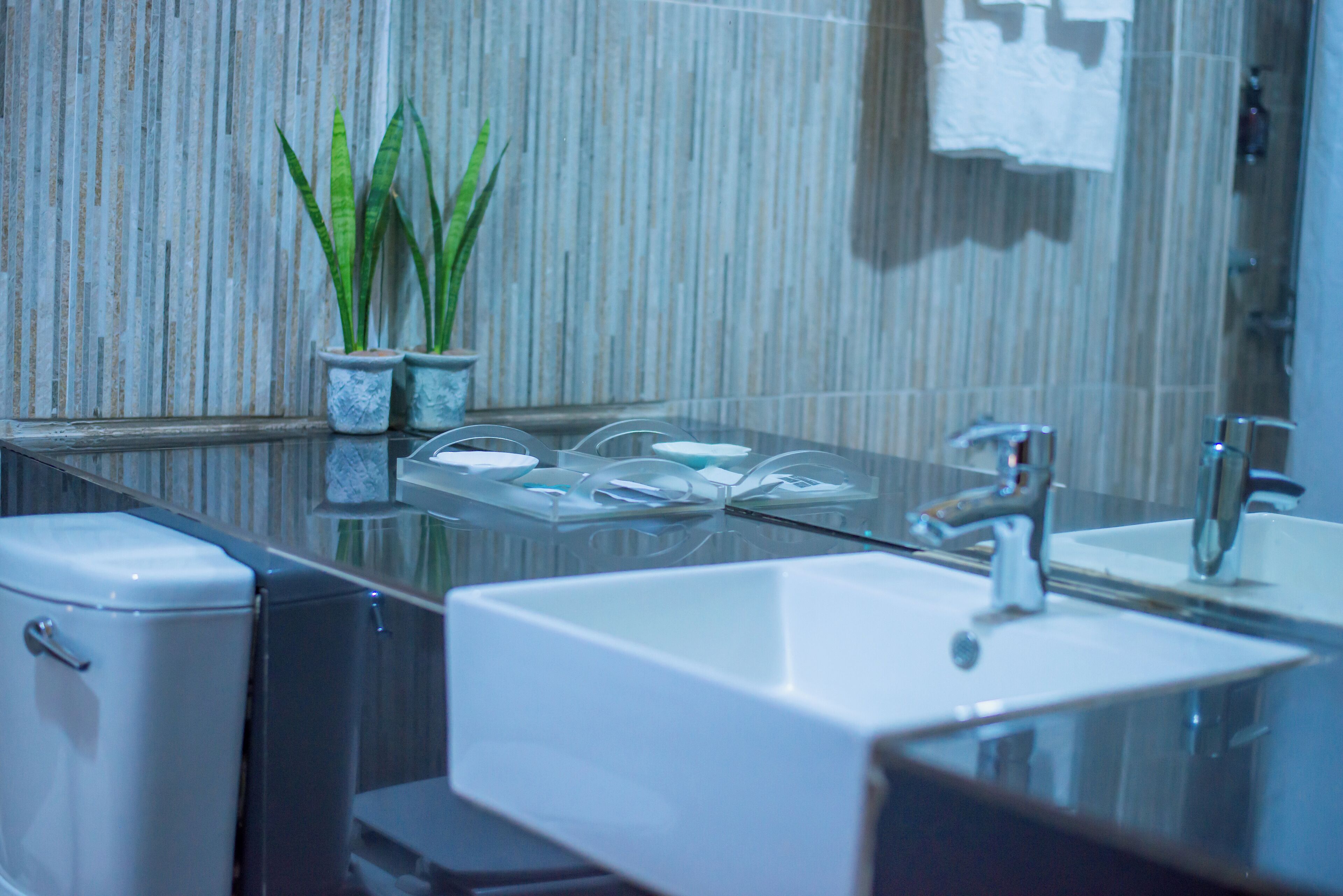 A modern bathroom with a glass countertop, two sinks, a toilet, and potted plants.