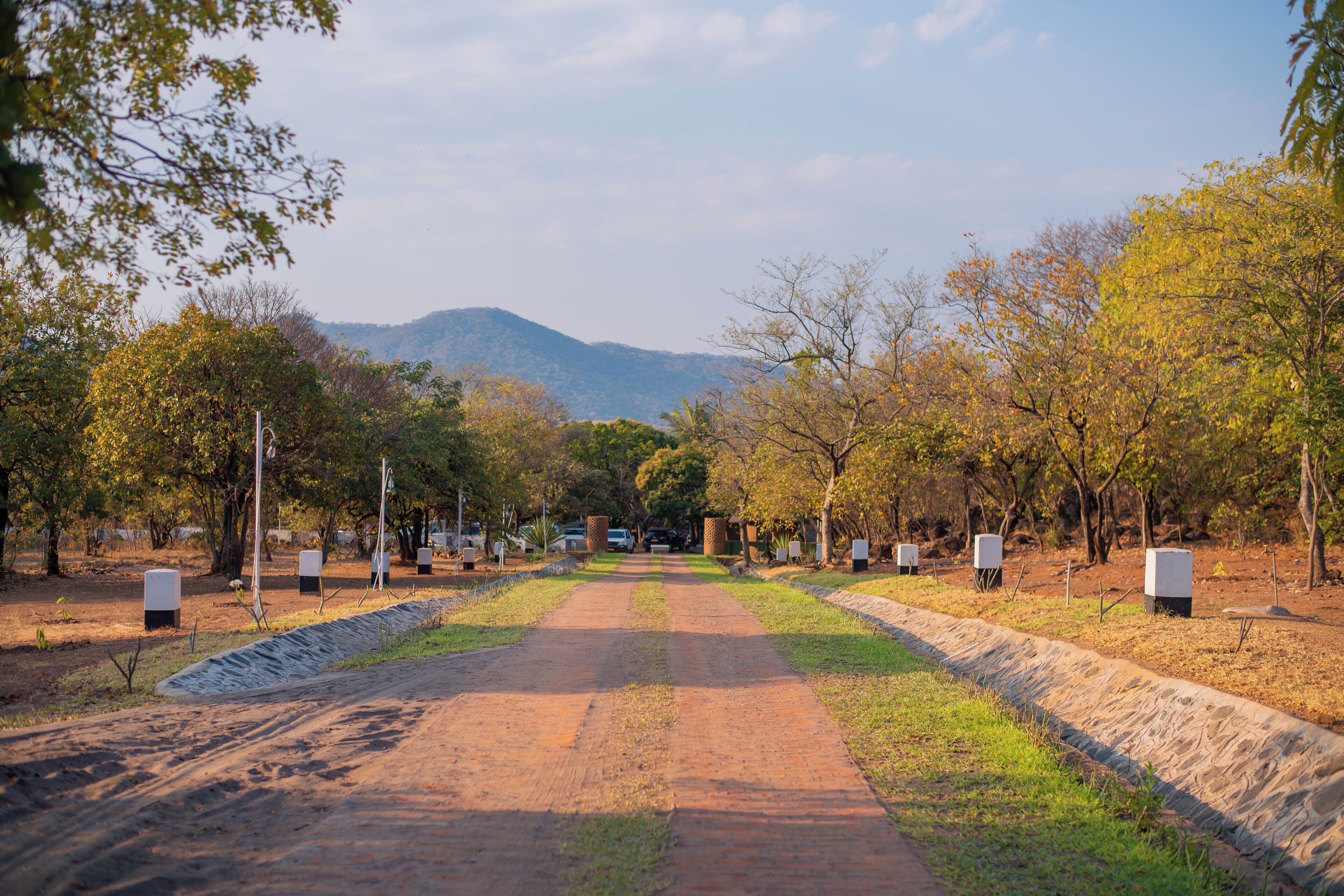 Un sendero pavimentado que atraviesa un parque con árboles y una montaña al fondo.