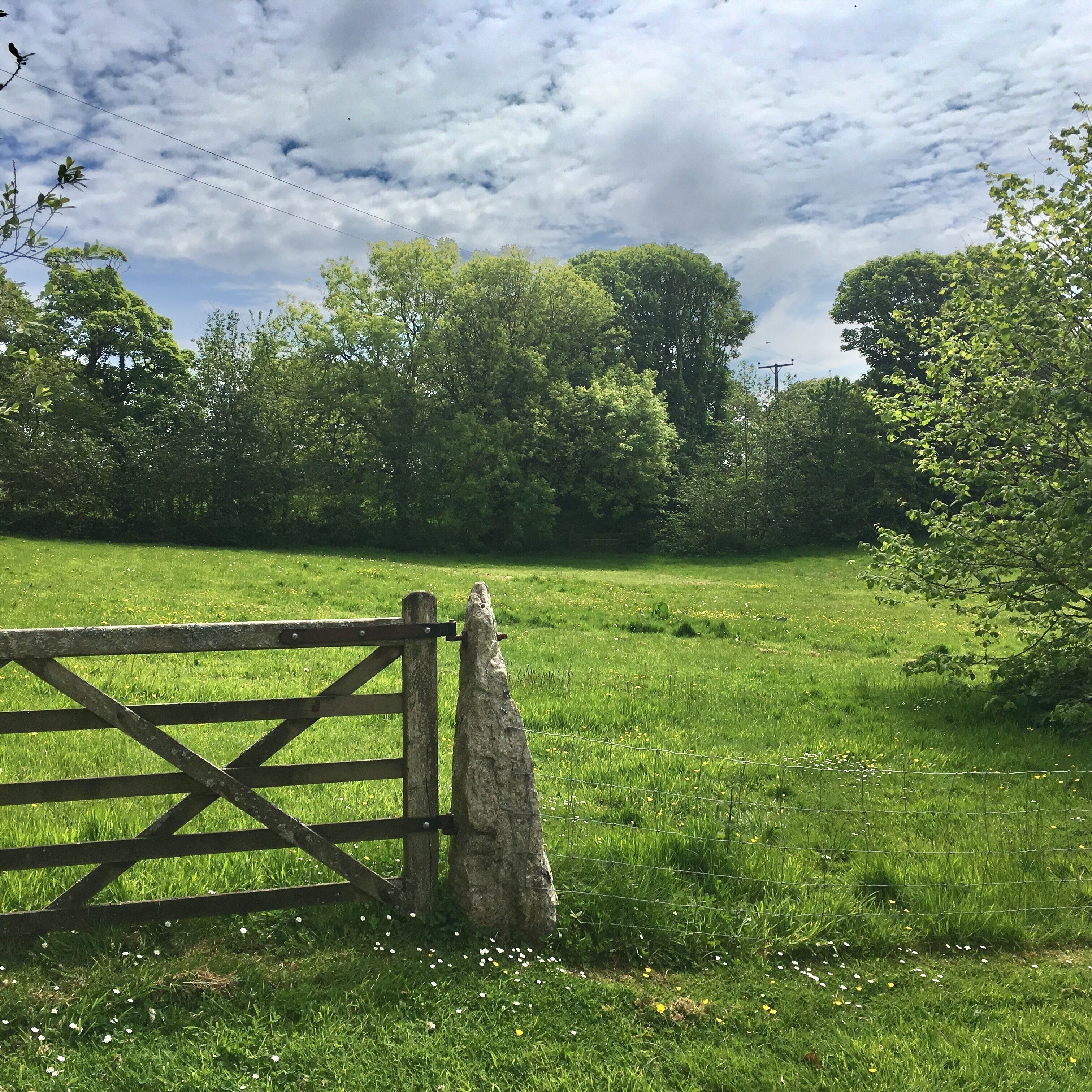 A rural landscape with a wooden gate, lush green grass, and trees in the background.