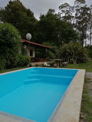 Property grounds - CASA DO MOINHO, rural, farmhouse, 4 kms from the Sea up to 10 people (Espinho)