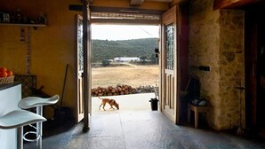 A rustic interior with a wooden ceiling, a dog outside, and a view of a field. - Masia Heredad La Boquilla (Enguera)