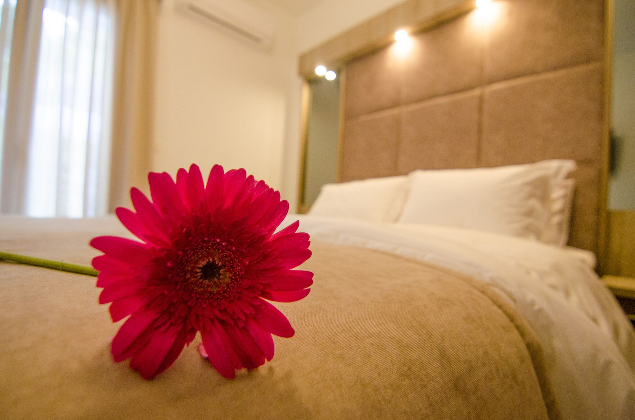 Una cama con una sola flor roja sobre la almohada y un cabecero con iluminación integrada.