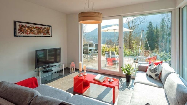 TV, DVD player - Luxus Ferienhaus Schwarzwald Dieboldsberg (Alpirsbach)