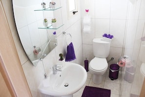 A bathroom with a white sink, a toilet, and a glass shelf with toiletries.