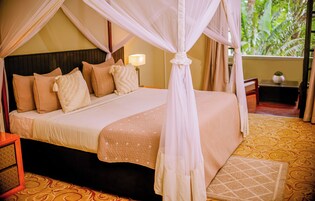 Deluxe Room | Individually decorated, individually furnished, desk, laptop workspace