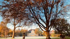 Un parc avec un grand arbre, une sculpture et un bâtiment en arrière-plan.