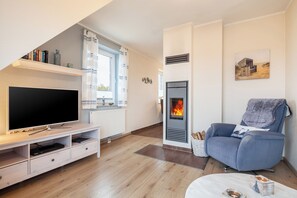 TV, fireplace, DVD player, books