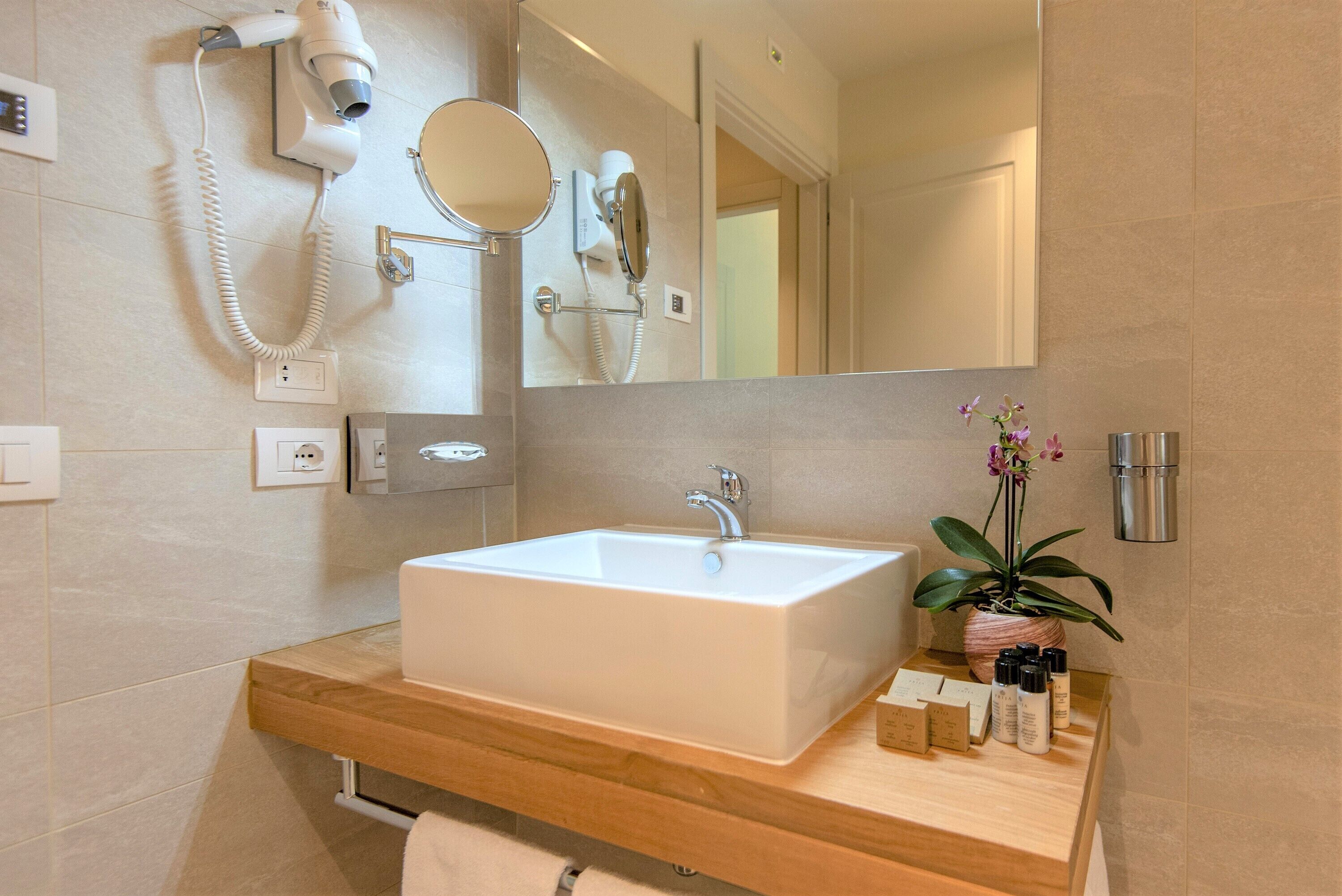 A bathroom with a large sink, a hairdryer, a mirror, and a potted plant.