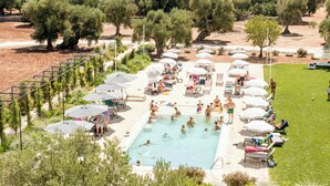 Zona de piscina con múltiples tumbonas y sombrillas, rodeada de olivos y un césped.