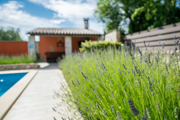 Property grounds - Stylish villa ****, pool, 2.5 km from the sea, barbecue, WiFi, free WiFi (Segotici)