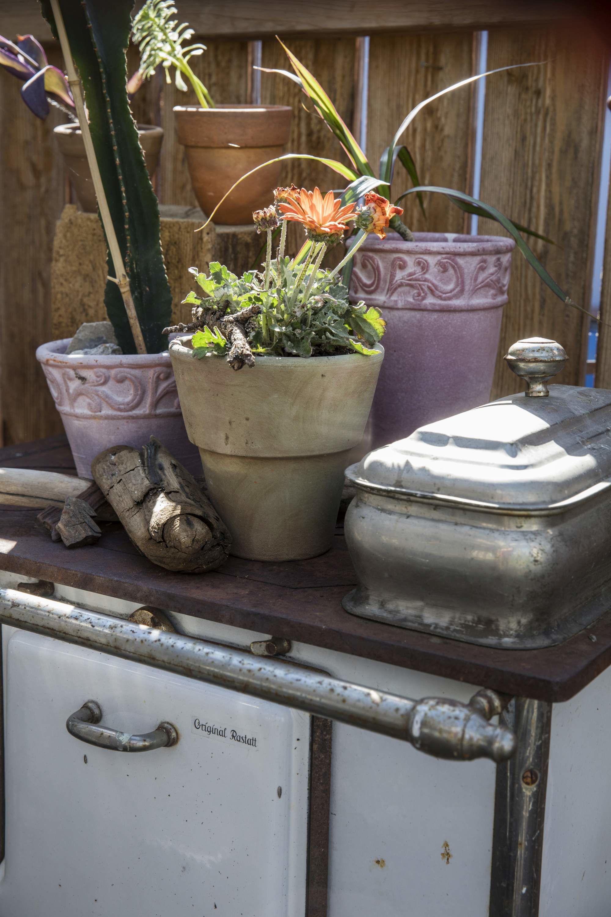 Een rustieke buitenterras met verschillende potplanten en een oude metalen bak op een houten oppervlak.