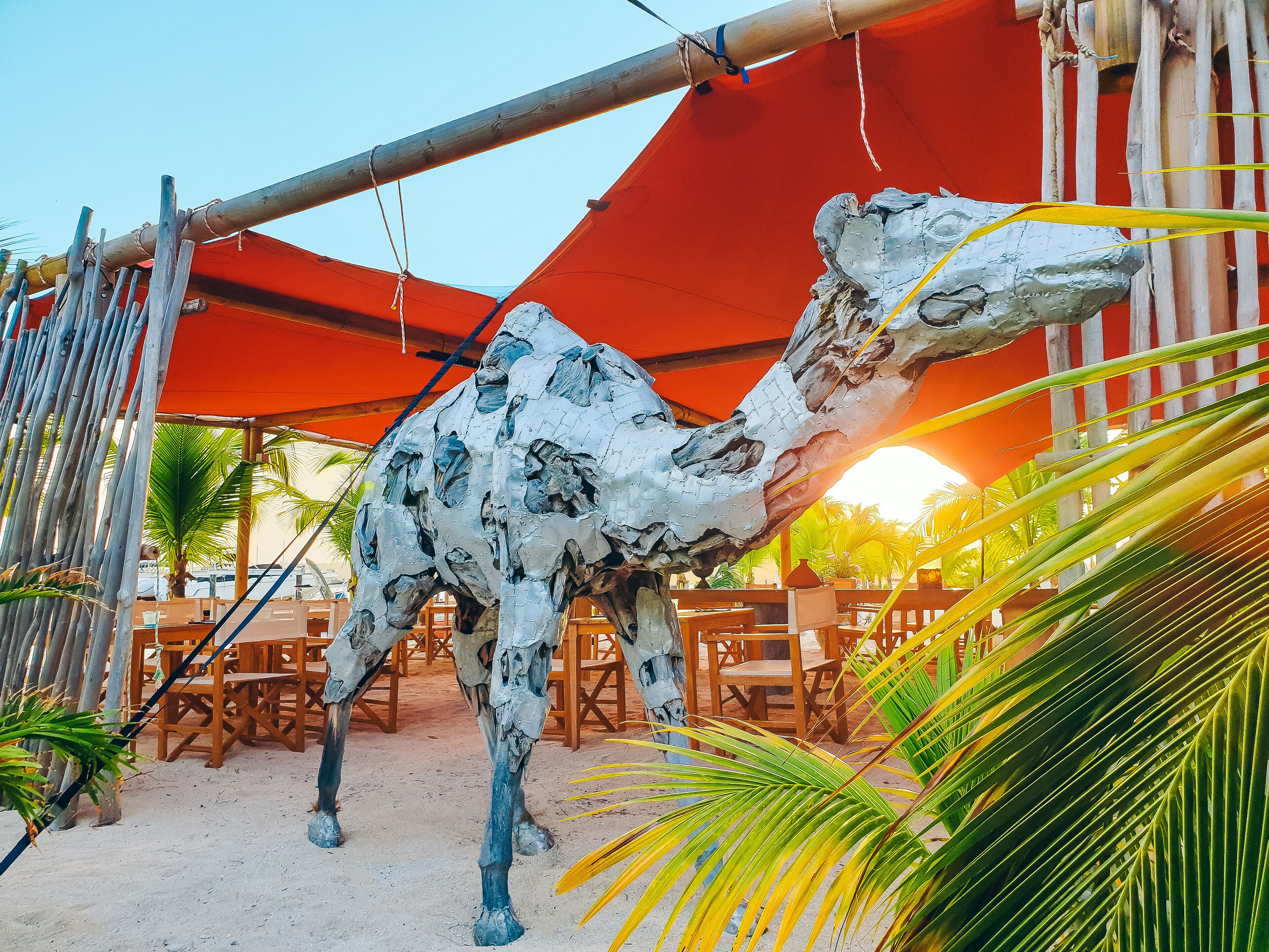 breakfast, lunch, dinner served; international cuisine, beach views