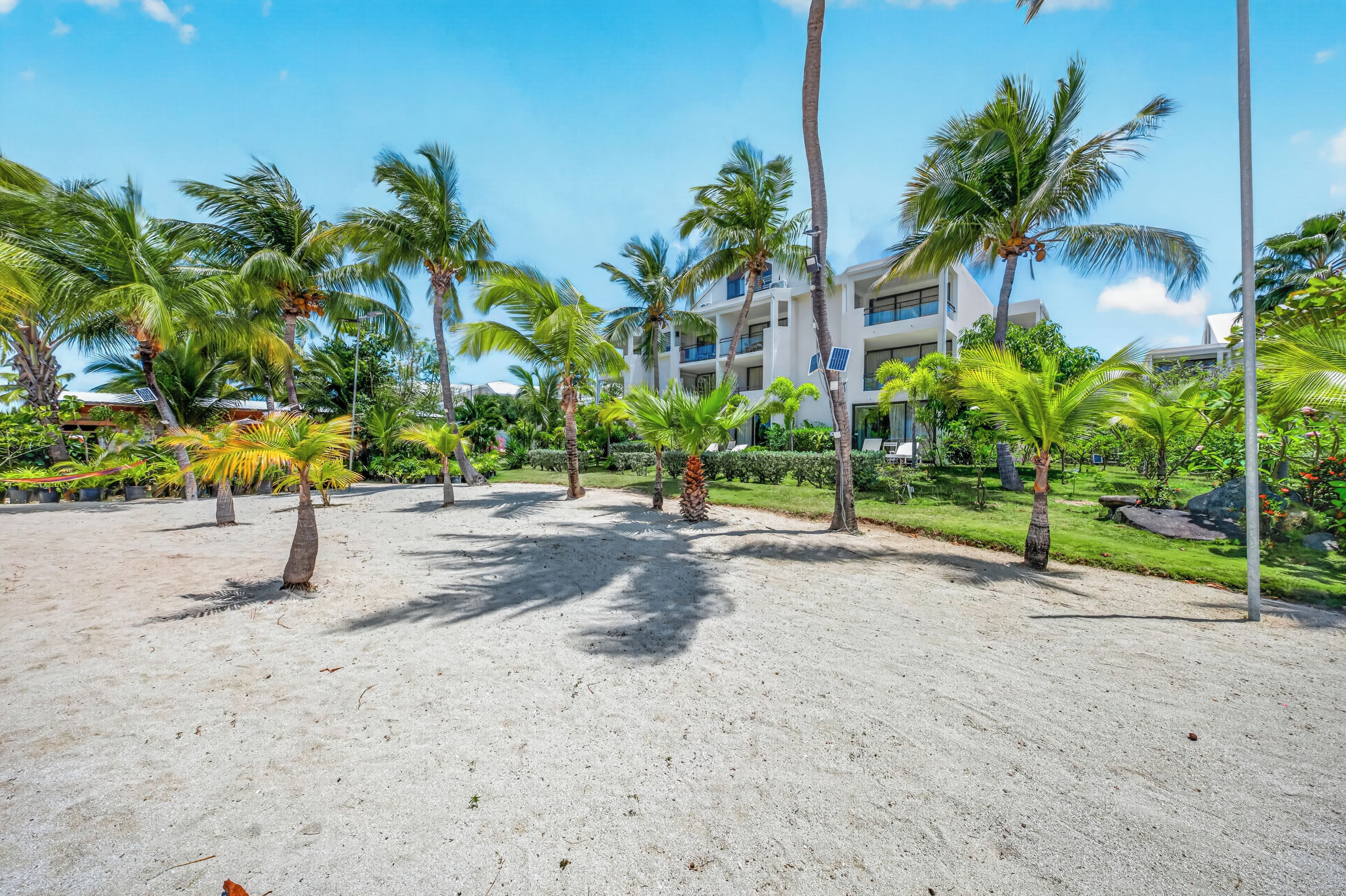 Una playa arenosa con palmeras y un edificio con balcones.