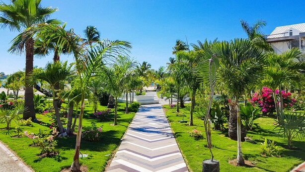 A pathway lined with palm trees and lush greenery, leading to a building with a modern design. - Hommage Hotel & Residences (Nettle Bay)