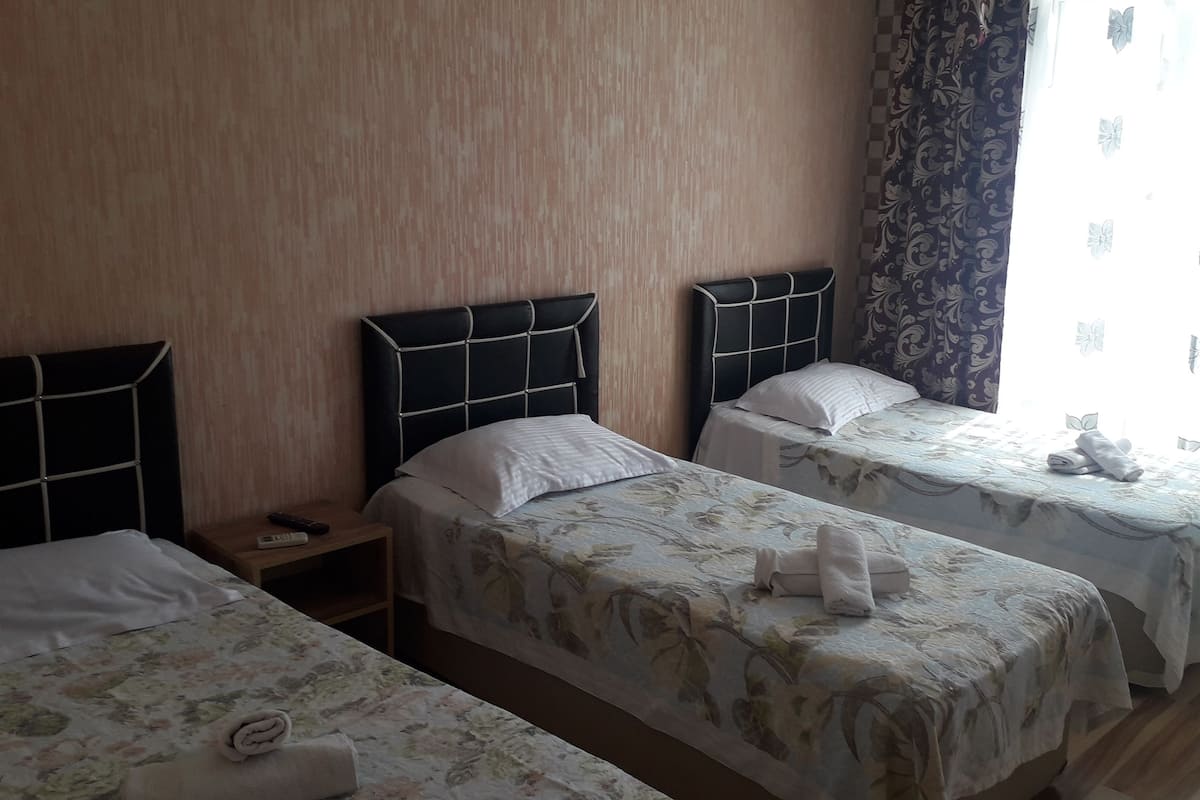 Basic Triple Room, City View | WiFi (free), bed sheets