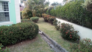 Jardim