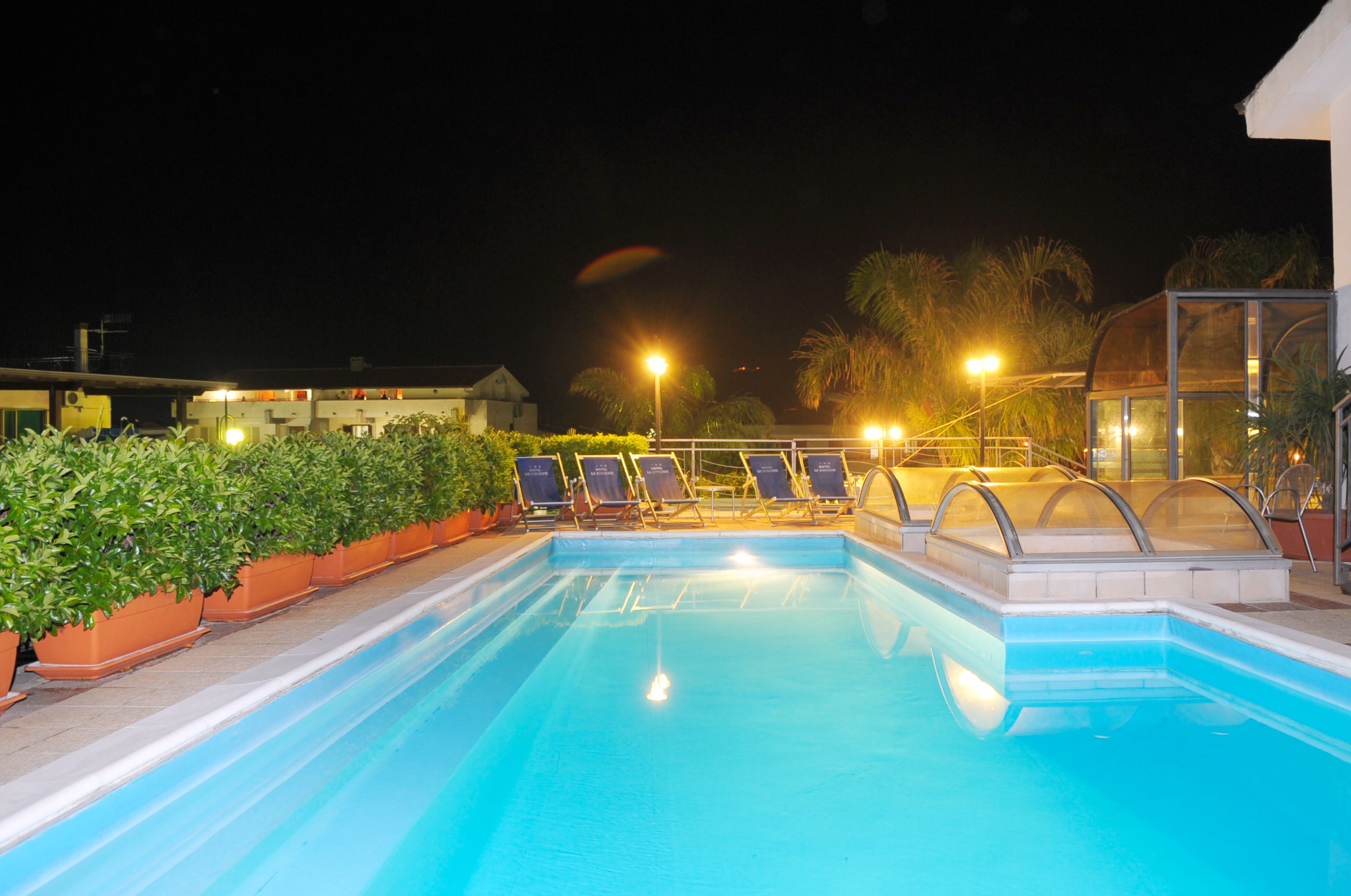 Una piscina con lettini da relax e un'area vetrata, circondata da piante in vaso e palme.