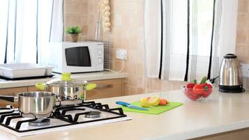 Full-size fridge, microwave, oven, stovetop