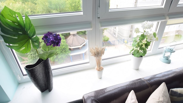 A window with a view of buildings and greenery, a black vase with a plant, and a white vase with dried flowers. - Elegant Apartment Arkadia (Warsaw)