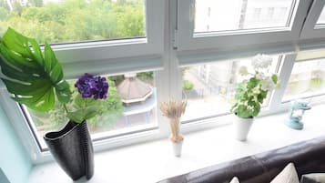 Deluxe Apartment | Room amenity