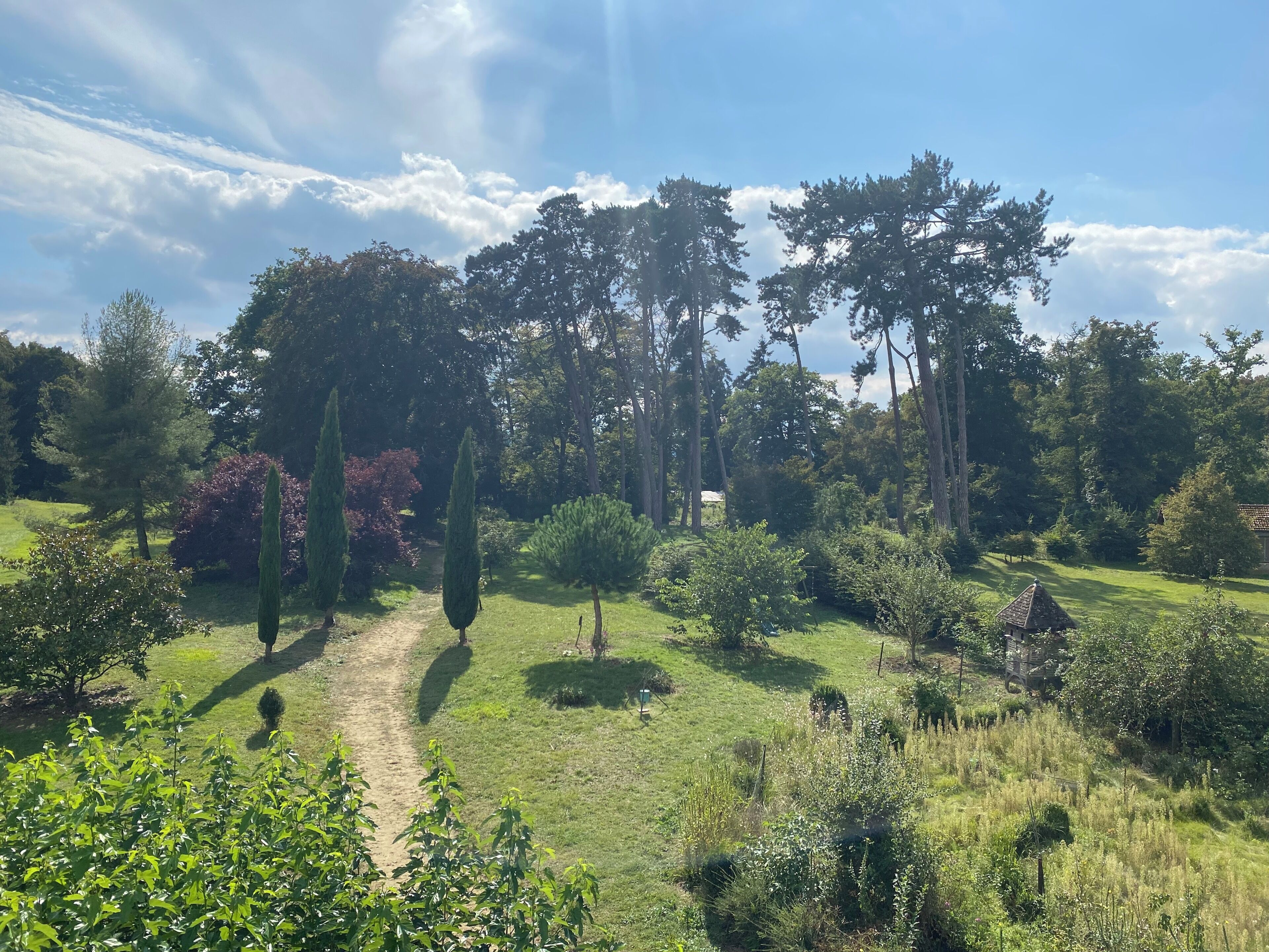 A garden with a variety of trees and shrubs, a dirt path, and a small structure.