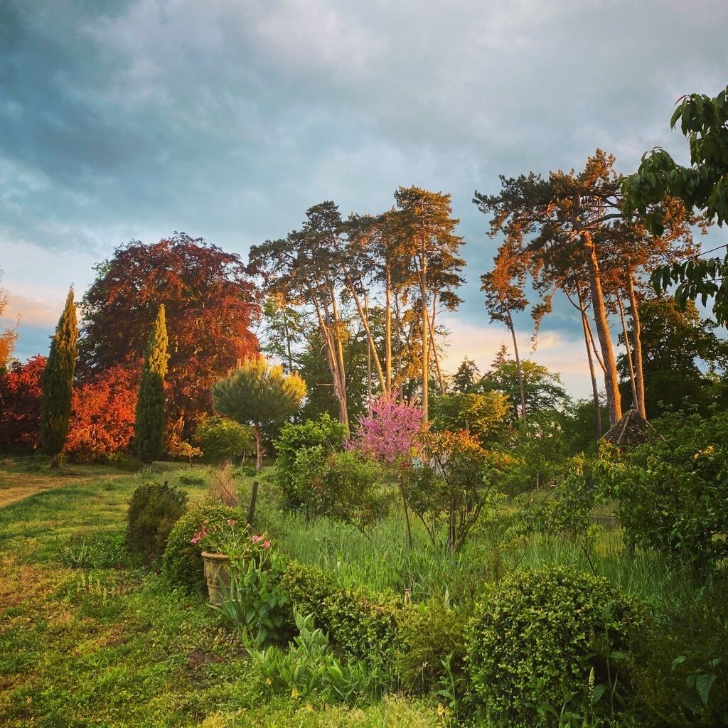 Un jardin agrémenté de divers arbres et arbustes, d’un sentier et d’un petit étang.