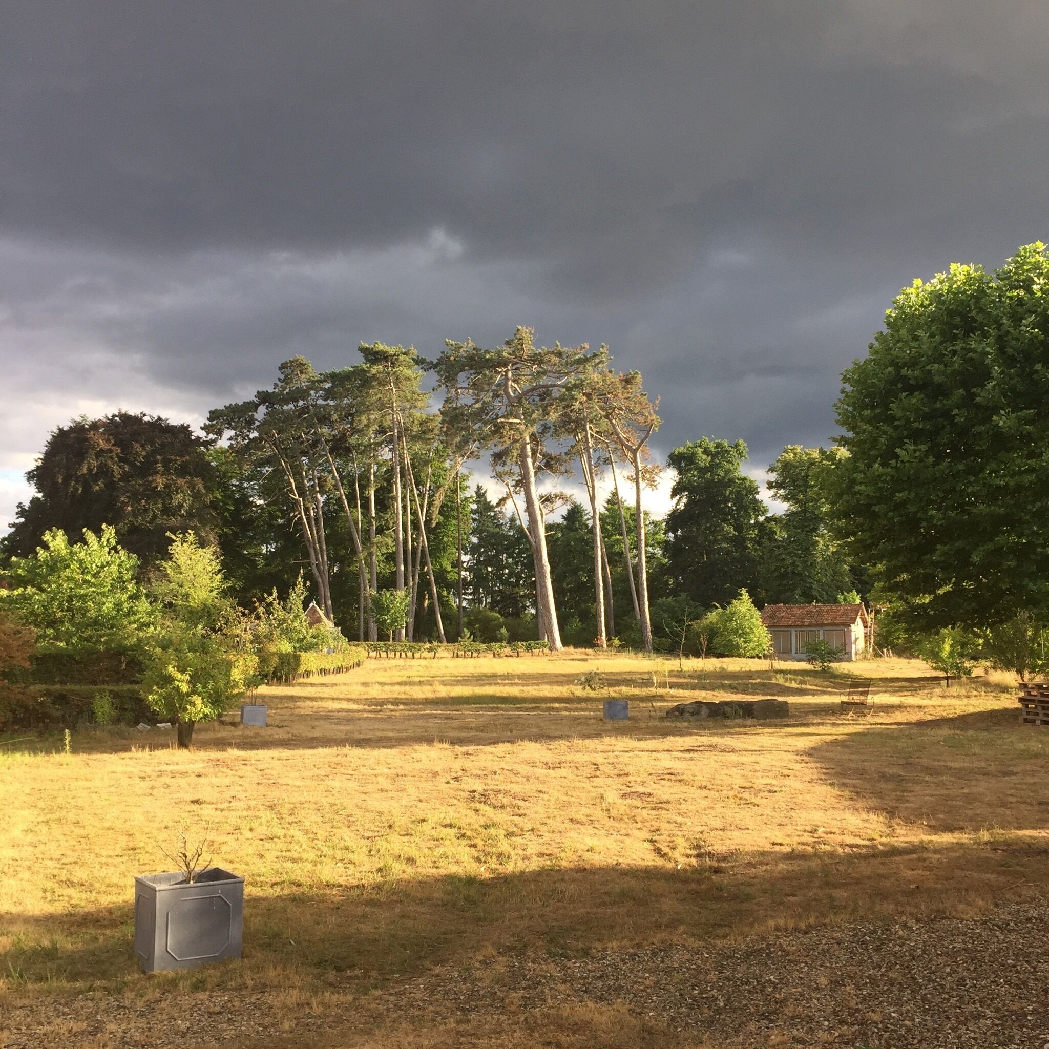 A rural landscape with trees, a small building, and a gravel path.