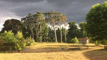 A rural landscape with trees, a small building, and a gravel path.