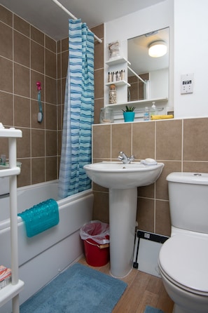 Combined shower/bathtub, free toiletries, hair dryer, slippers