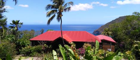 المنطقة المحيطة بالمنشأة