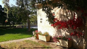 A garden with a stone wall, potted plants, and a grassy area.