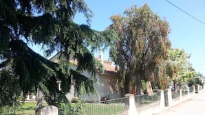 A residential street with a house, a metal fence, and trees.