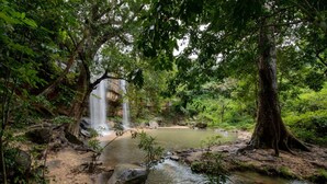 A natural landscape with a waterfall, a small pond, and dense greenery. - Pumzika Tu (Kwale)