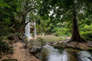 A natural landscape with a waterfall, a small pond, and dense greenery.