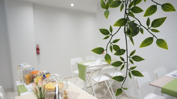 Un comedor moderno con sillas blancas, una mesa con mantel verde y una planta colgante de hojas verdes.