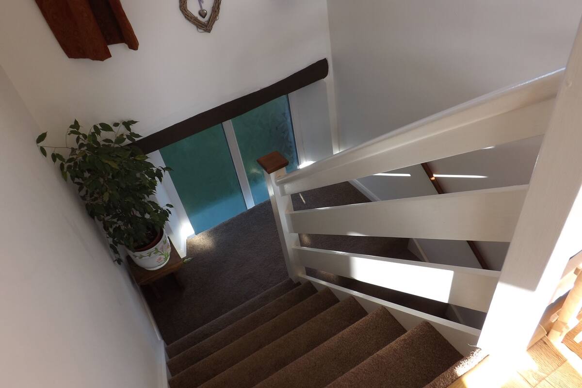 A staircase with a white railing, carpeted steps, and a potted plant on the left.
