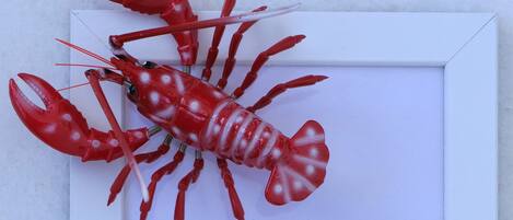 A framed sign with a lobster and the text "Aragosta Rossa".