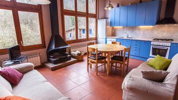 TV, fireplace, table tennis