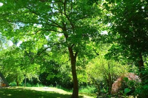Property grounds - Self catering La Rovirota for 6 people (Riudaura)