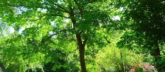 Gîte La Rovirota pour 6 personnes