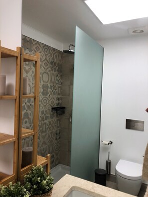 Douche, séchoir à cheveux, serviettes fournies, savon