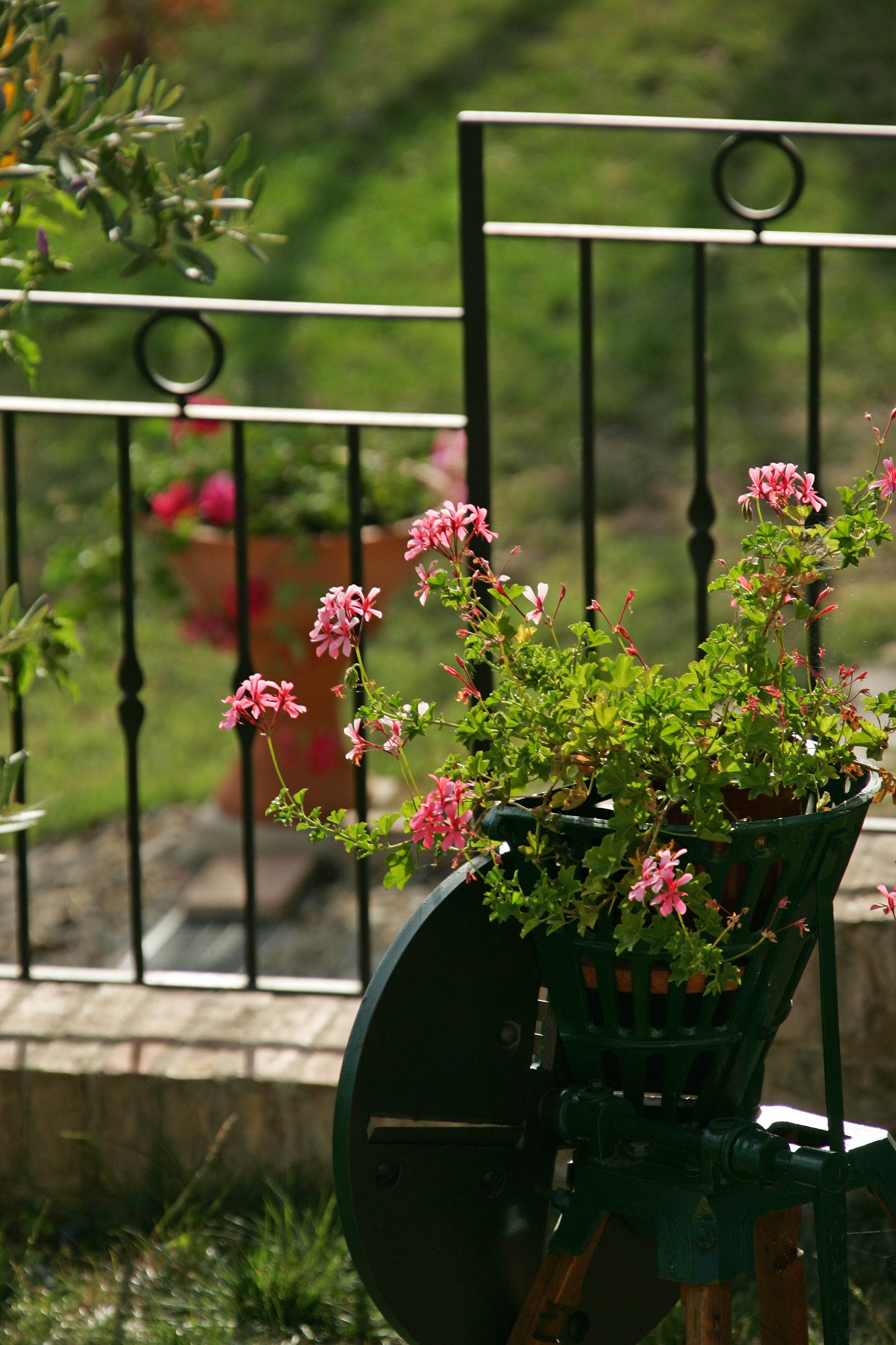 Foto - Podere Il Pero