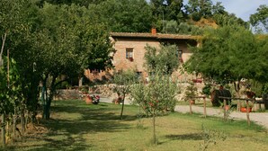 Une maison en pierre, avec un toit en tuiles, entourée d’une végétation luxuriante et d’arbres.