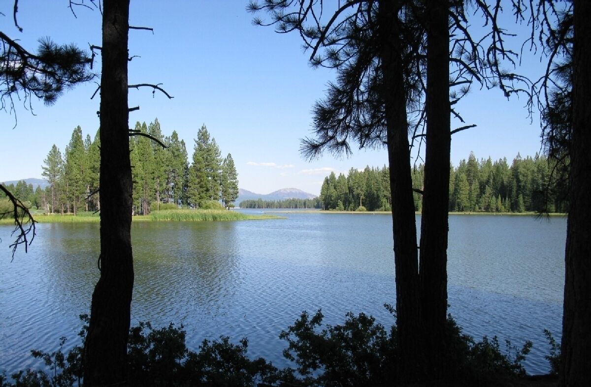 A lake surrounded by trees with a clear sky.