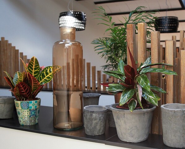 Plants and a glass bottle sit on a table amidst a natural backdrop.