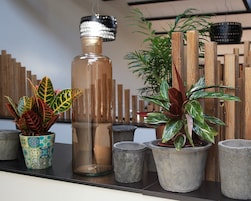 Detalle interior