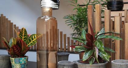 Hotel Cims Camprodon