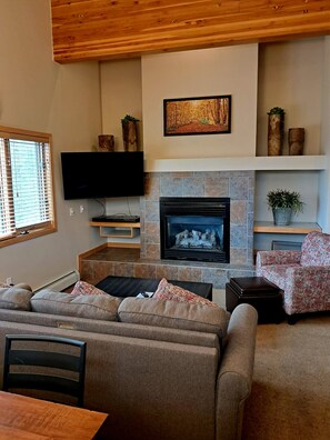 Televisio, takka, DVD-soitin, kirjoja